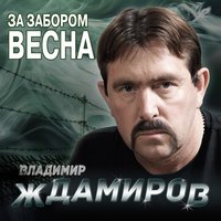 Владимир Ждамиров - Вспоминай