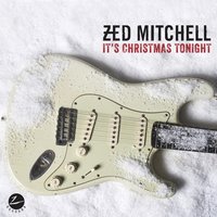 Zed Mitchell - The Lady Lives The Blues