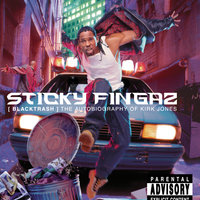 Sticky Fingaz & Eminem - What If I Was White