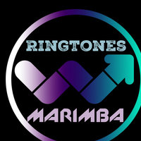 iPhone - Ringtone (MetroGnome Remix)