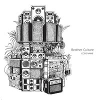 Brother Culture - Heal Them