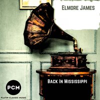 Elmore James Jr - The Sky Is Crying