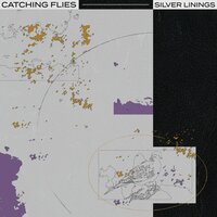 Catching Flies - Sunrays