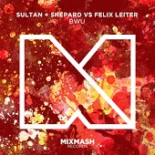 Sultan & Shepard vs. Felix Leiter - BWU (Original Mix)