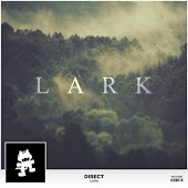 Direct - Lark (Original Mix)