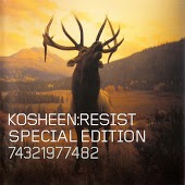 Kosheen - Catch (Namatria & Parfenov Remix)