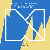 Tank & Cheetah, DBN feat. The Rise - Trust (Original Mix)