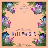 Kyle Watson - The Cone