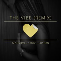 Marshvll  - The vibe