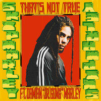 Skip Marley & Damian Marley - That's Not True