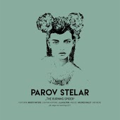 Parov Stelar feat. Muddy Waters - Soul Fever Blues