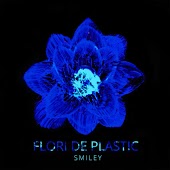 Smiley - Flori De Plastic