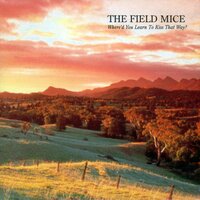 When You Sleep - The Field Mice