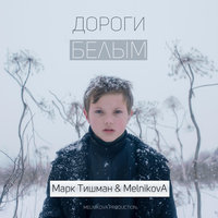 MT & MelnikovA - Дороги Белым