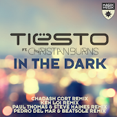 Tiesto feat. Christian Burns - In The Dark (Paul Thomas & Steve Haines Remix)