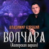 Владимир Курский - Иринка