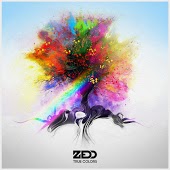 Zedd feat. Jon Bellion - Beautiful Now (Extended Mix)