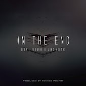 Tommee Profitt & Fleurie & Jung Youth - In the End