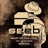 Seeb feat. Jacob Banks - What Do You Love (Alex Ghenea Remix)